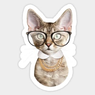 Smart kitty cat Sticker